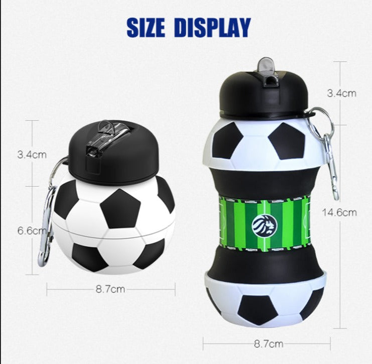 Lionstrike Sports Water Bottle, 550ml